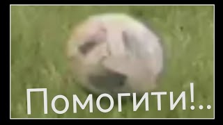 Футбольчик. Обычный день