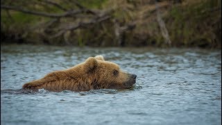 Silversea Expeditions - The Russian Far East