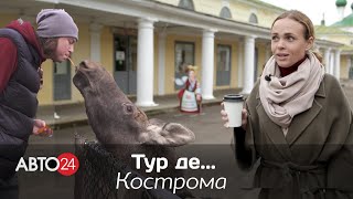 Лоси, сырный кофе и магия с кинжалом: программа Тур Де в Костроме. VW Amarok vs Multivan.