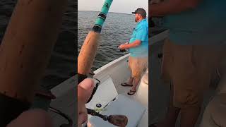 Don’t Break the Fish! #fishing #shortsfeed #shortsvideo #fish #trout #louisiana #shortsyoutube