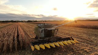 Récolte de mais 🌽 claas 770 et geringhoff 10 rangs de la SARL JPBM