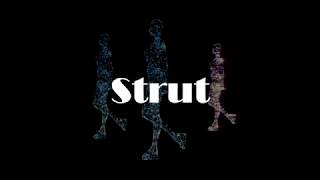 Strut