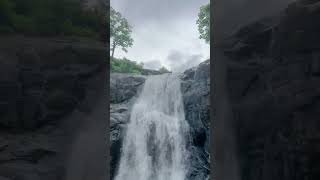 Dapoli cha धबधबा. #konkan #monsoon #waterfall #nature #flow #trekking #adventure #vibes #swimming.