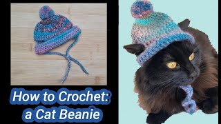 How to Crochet: a Cat Beanie