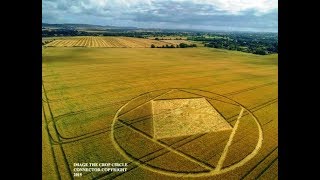 Crop Circle compare nei campi di Etchilhampton, Devizes, Wiltshire