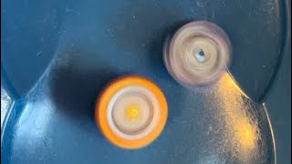 Beyblade Burst Insane Hasbro Combo Video