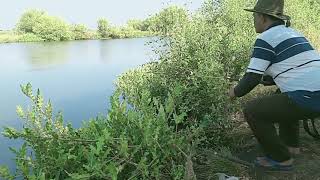 Saya Coba Dengan Umpan Ini Mancing Sebentar Lihat Hasilnya