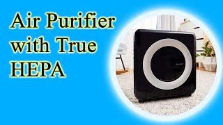 Air Purifier with True HEPA