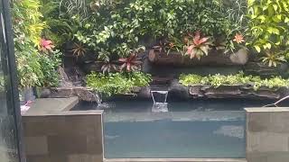 Pembuatan Taman Vertical Garden   Dan Kolam Mini Malis