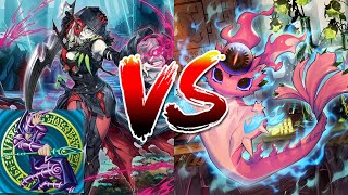 Yugioh Diabellstar Dark Magician vs Snake Eye Kashtira (Local Feature Match) 7-21-2024