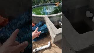 Dicas do filtro PH, mas é bom assistir o vídeo completo para ficar formado #fishing #pisicultura