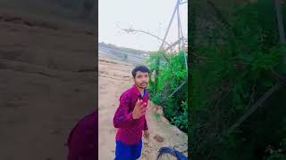 #video #aashish yadav ka #maghi #song tor Kamariya Par Najariya #youtubeshorts #status #trending