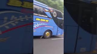 Perhatikan bus nya#shortvideos