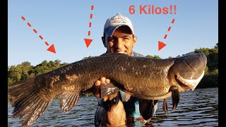 El dia de los Monstruos - Pesca de tararira de 6 kilos