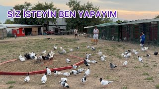 KUŞ SALMADA MEYDAN OKUYORUM  TÜM TÜRKİYEYE