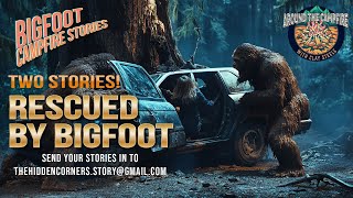 RESCUED BY BIGFOOT: BIGFOOT CAMPFIRE STORIES #bigfoot #campfirestories