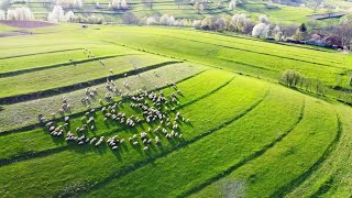 Izbuc și Călugări, Cariera de calcar de la Cărpinet, Bihor, România, Drone video, 1 min.