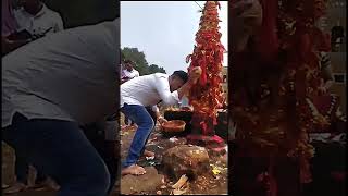 | Tor Darshan Thare kale Maa | Maa Manikeswari