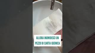 Come eliminare le MACCHIE del WC con della CARTA IGIENICA