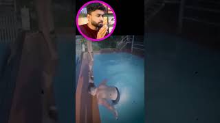 Dive அடிக்கிறப்போ பார்த்து அடிக்கணும் 😅| luckiest people funny Video | Shamy Reaction