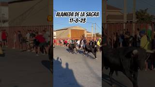 Segundo encierro Alameda de la sagra 17-8-23 #toros #encierro #españa