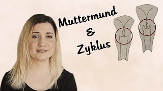 Das verrät dein Muttermund über deinen Zyklus I Zyklusgeflüster