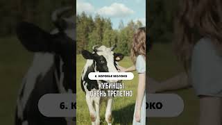 Факты о Кубе #shorts