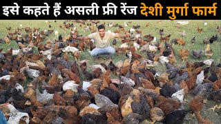 इतनी पढ़ाई करने के बाद भी कर रहे हैं देशी मुर्गी पालन free ranj deshi poultry farm #deshimurgipalan