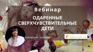 Одаренные сверхчувствительные дети