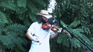 Old Time Fiddle - The Blackest Crow by David Manuel