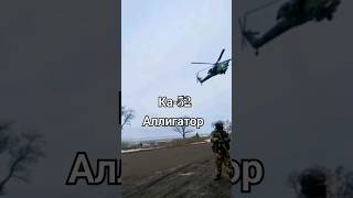 "Аллигатор" на дороге