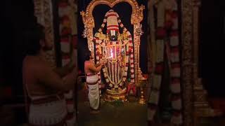 Venkateswara Swamy  Tirumala Govinda Govinda  Swami Arathi Alankar God temple