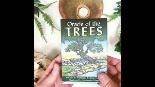 Oracle of the Trees Unboxing!