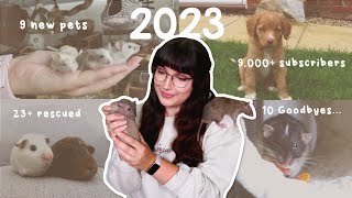 Looking back at the past year with the Pets | Emiology 2023