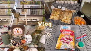 Hello Autumn 🍂 | Browsing at Costco | Silent Vlog #1