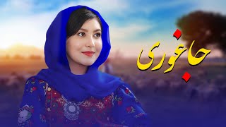 New Hazaragi Song 2024 آهنگ جدید هزارگی مه موروم سوی جاغوری خو - شفیقه هنردوست -