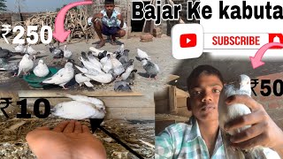 🕊️ Bajar Ke Kabutar 😱