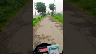 Riding Through Nature's Haven: Serene Village Road with Palm Trees