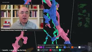 Stephen Wolfram - Charting a Course for “Complexity”: Metamodeling, Ruliology and More Blog with Q&A