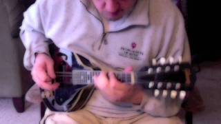 The Ole Manic Depression Heartbreaker Blues:  Jim Richter, electric mandolin