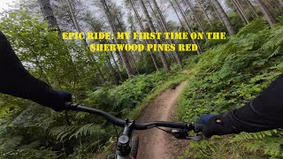 Is the Sherwood Pines Red Route Really Red? Let's Find Out!  #action4 #djiglobal #mtb #gopro