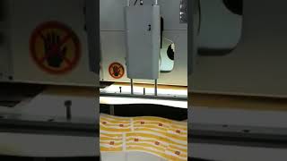 8 Years Old Paper Cup Fan Roll Die Cutting Machine working in India Since 2015