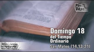 Reflexión del santo Evangelio del Domingo 18 del tiempo ordinario Panis Vitae 03 08 2020