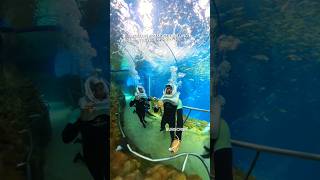 Underwater walking in world’s LARGEST aquarium! #shorts