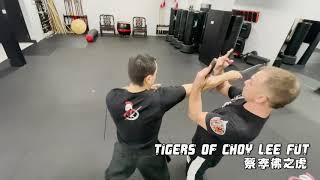 Tigers of Choy Lee Fut - Butterfly Swords