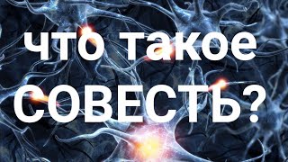 Что такое совесть?