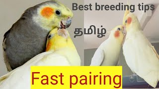 How to easy method for cocktail pairing தமிழ்(male and female)@