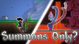 Terraria Calamity as a Summoner #3