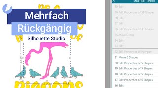 Silhouette Studio I Mehrere Schritte zurücksetzen