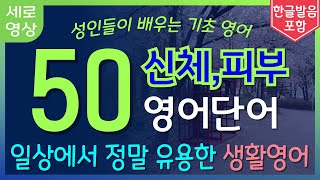 신체, 피부 관련 영어단어 50개 | 일상에서 정말 유용한 생활영어 | 영어단어 쉽게 외우는법 | 기초영어회화 | 왕초보영어 | 실용영어 | 수면영어 | 틀어놓고 주무세요